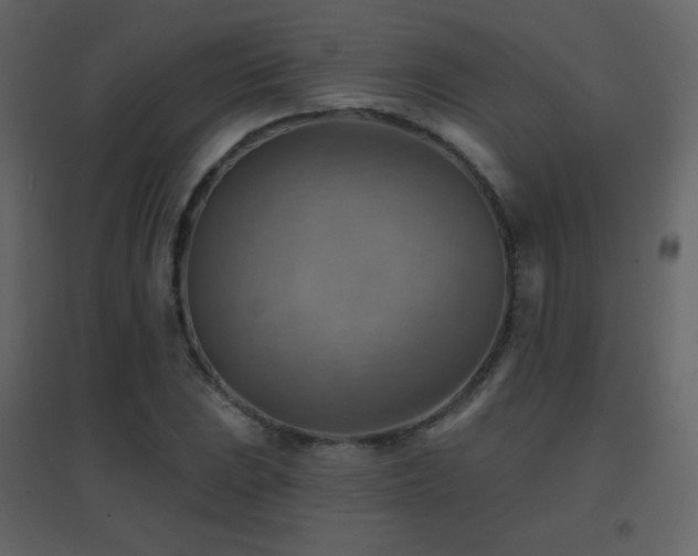 X0000096691023200802051341