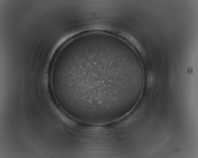 X0000096691024200802051341