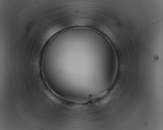 X0000096691026200802051341