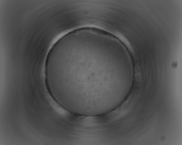 X0000096691028200802051341