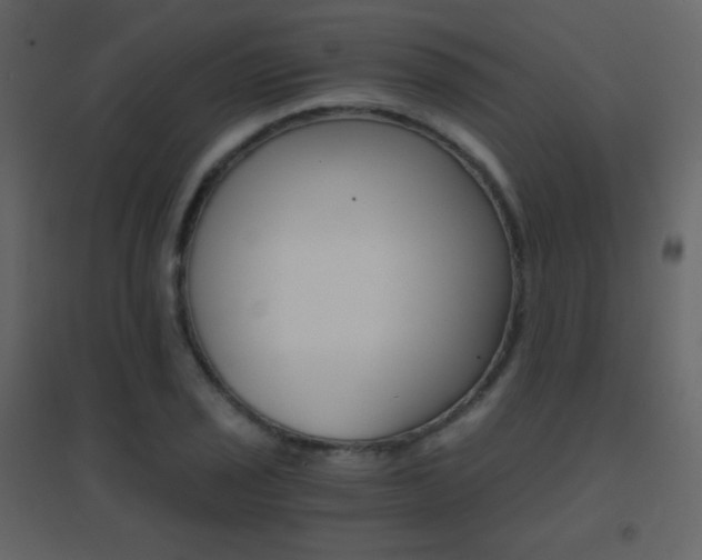 X0000096691029200802051341