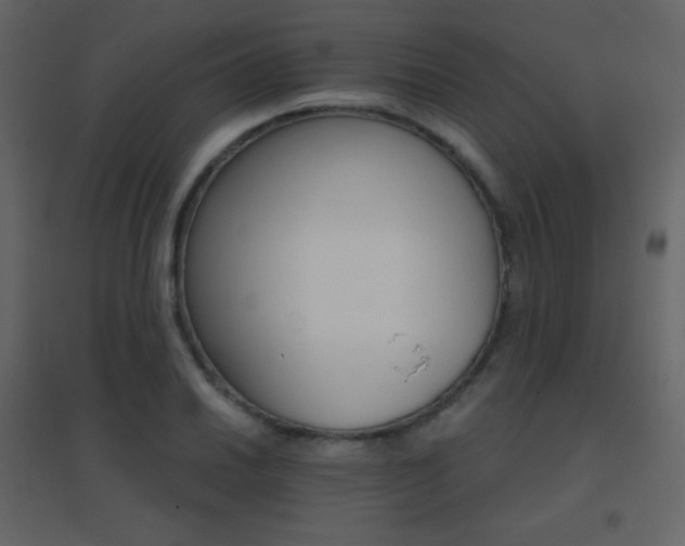 X0000096691030200802051341