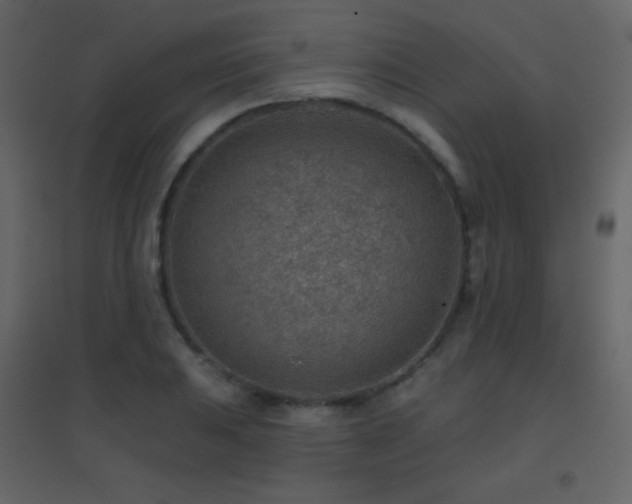 X0000096691031200802051341