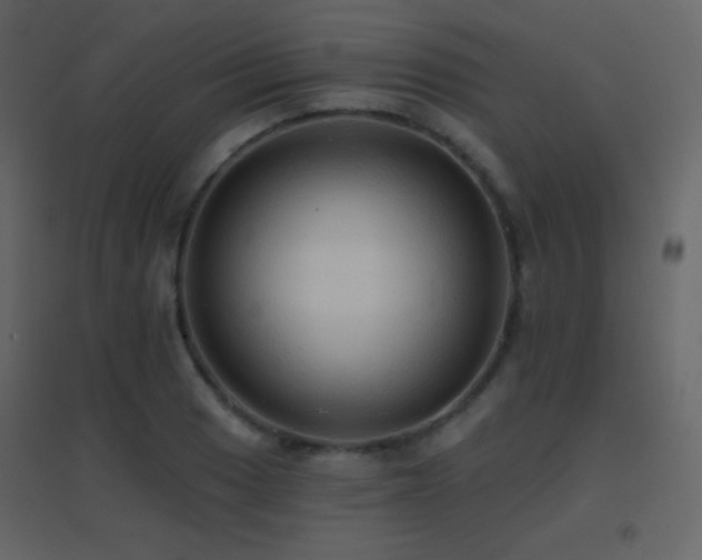 X0000096691033200802051341
