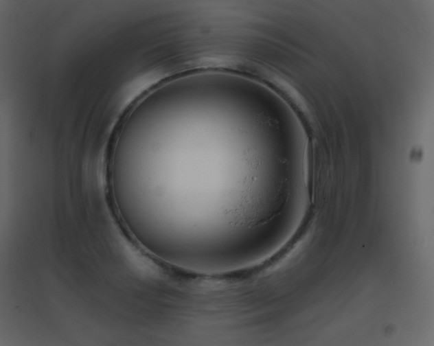 X0000096691034200802051341