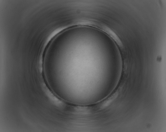 X0000096691036200802051341