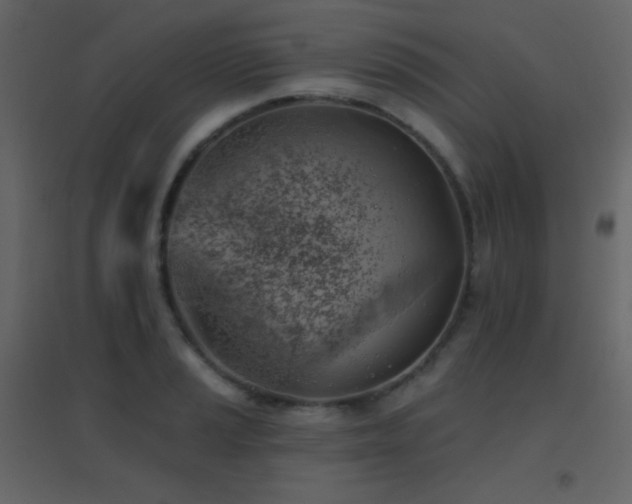 X0000096691037200802051341