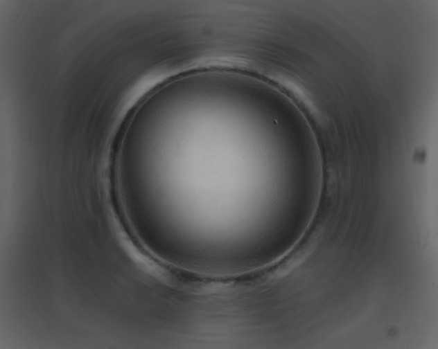 X0000096691038200802051341