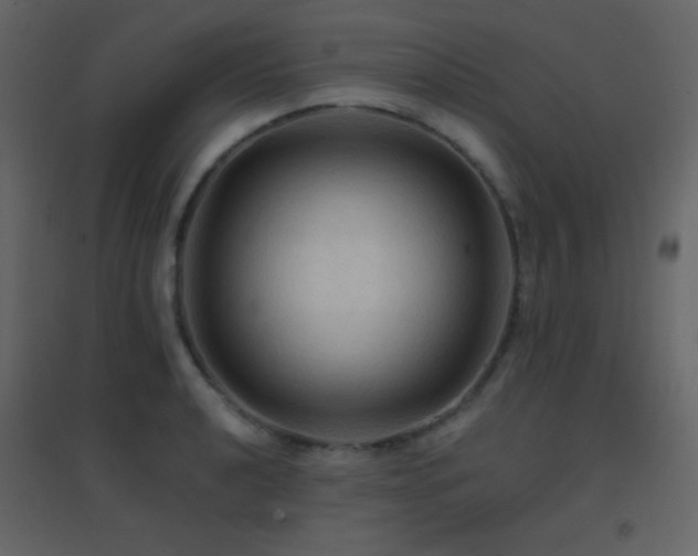 X0000096691040200802051341