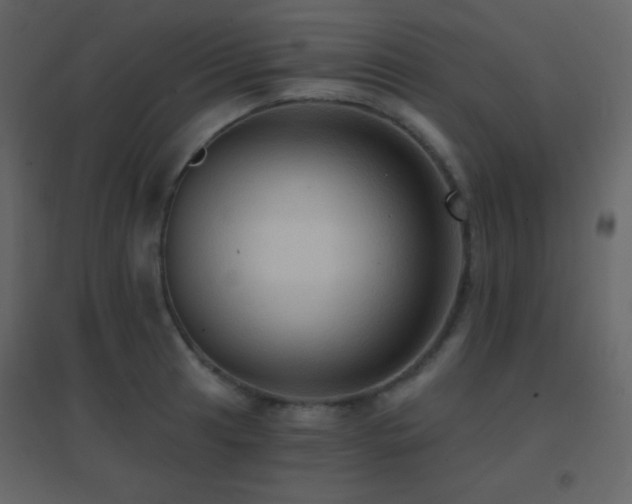 X0000096691041200802051341