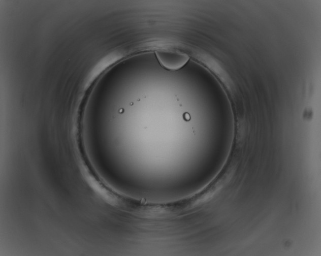X0000096691042200802051341