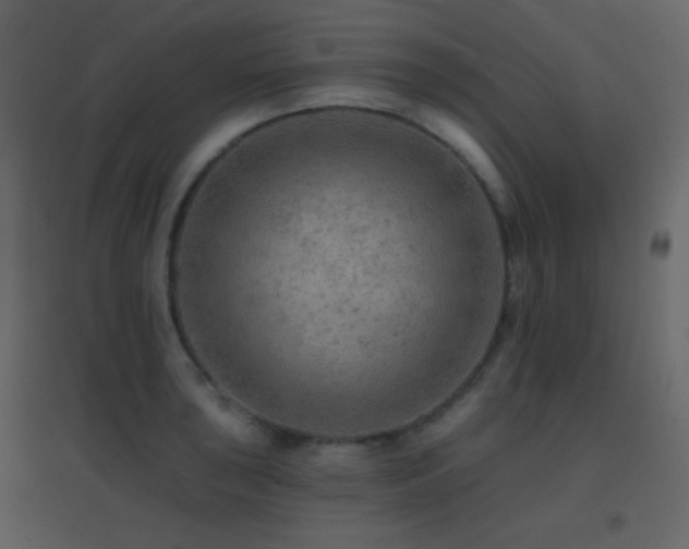 X0000096691043200802051341