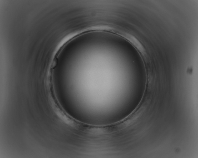 X0000096691044200802051341