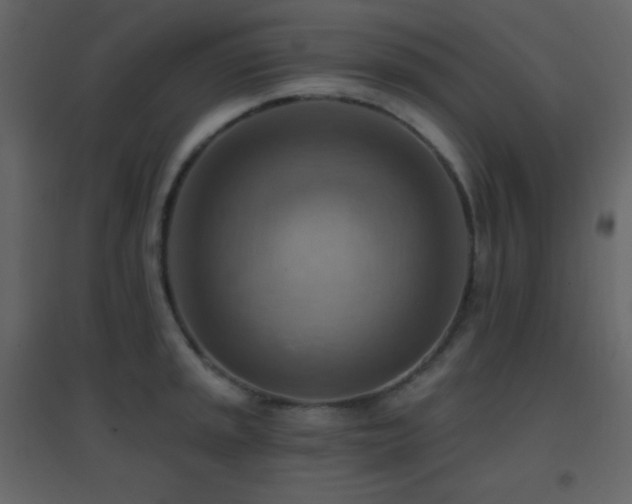 X0000096691045200802051341