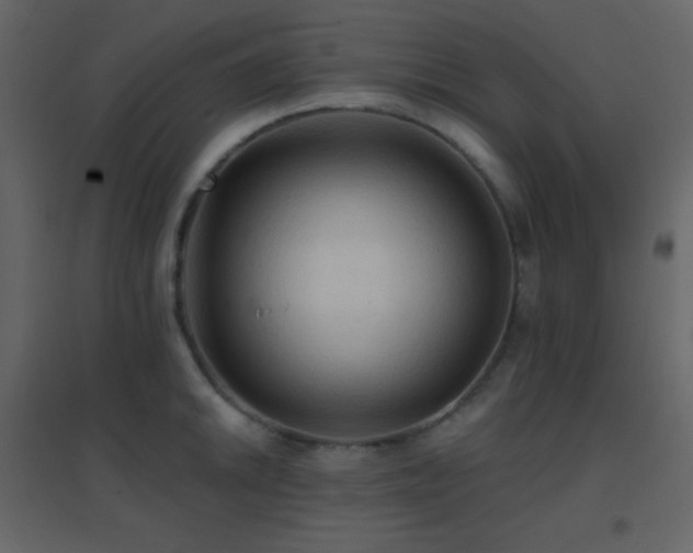 X0000096691046200802051341