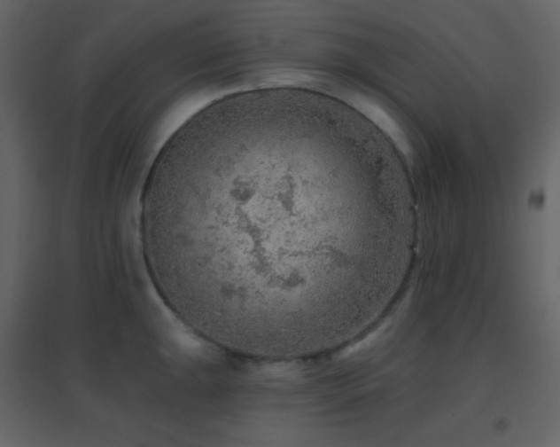 X0000096691047200802051341