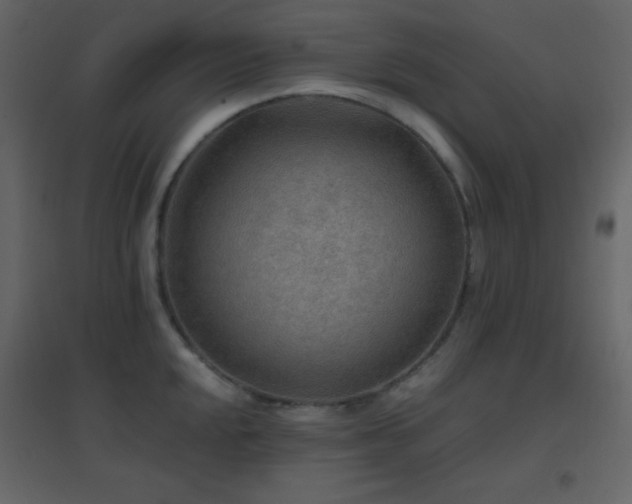 X0000096691048200802051341