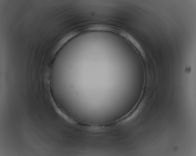 X0000096691049200802051341