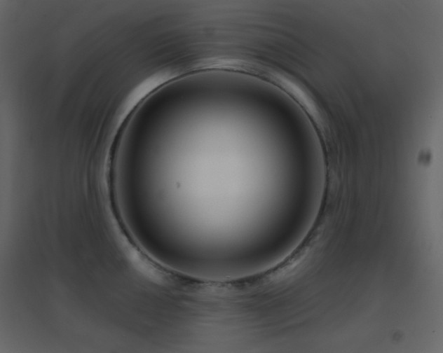 X0000096691050200802051341