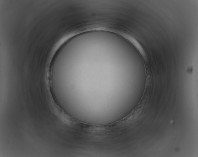 X0000096691051200802051341