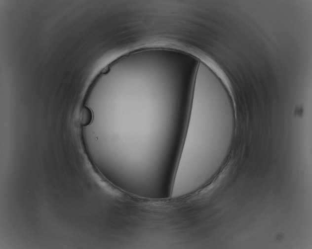 X0000096691053200802051341