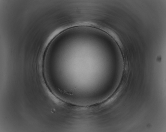 X0000096691054200802051341