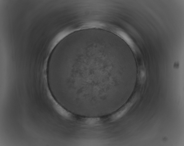 X0000096691055200802051341