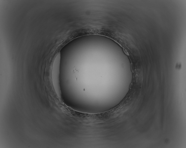 X0000096691057200802051341