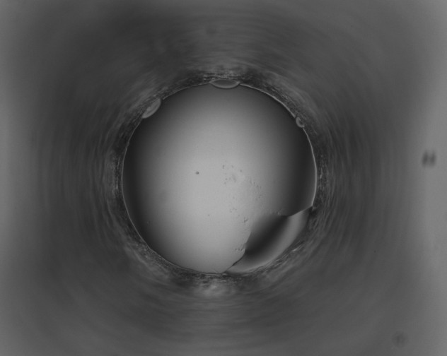 X0000096691058200802051340