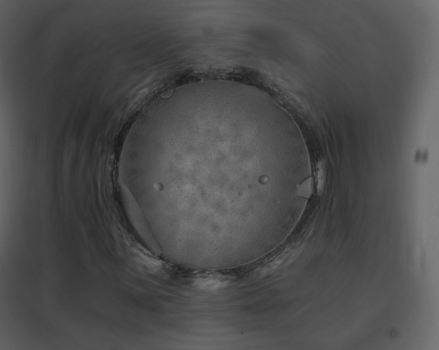 X0000096691059200802051340