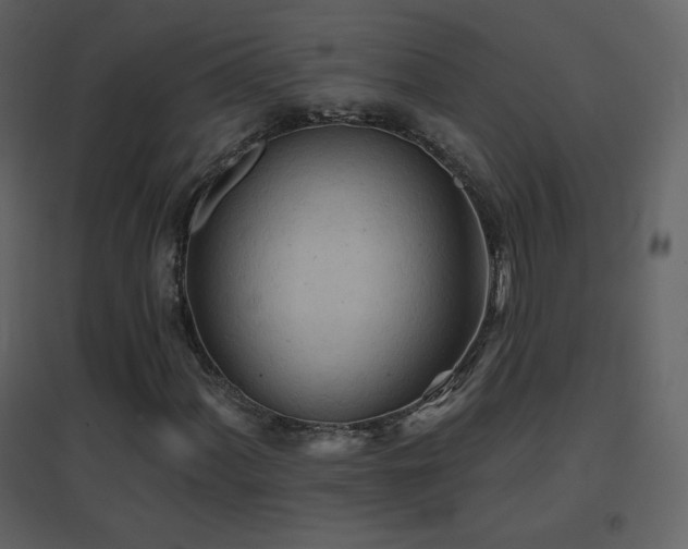 X0000096691060200802051340