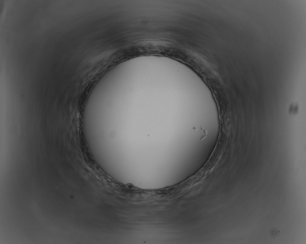 X0000096691061200802051340