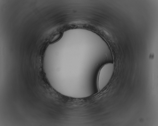 X0000096691062200802051340