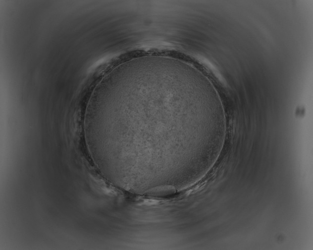 X0000096691063200802051340