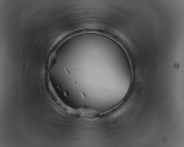 X0000096691065200802051340