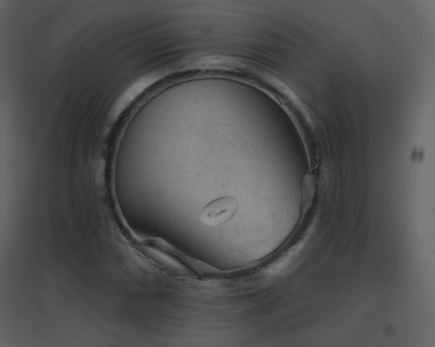X0000096691066200802051340