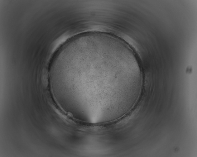 X0000096691067200802051340