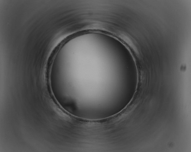X0000096691068200802051340