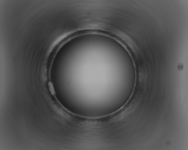 X0000096691069200802051340