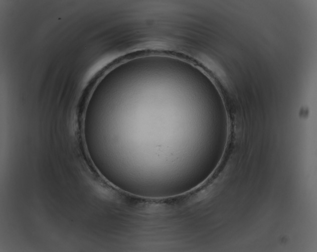X0000096691070200802051340