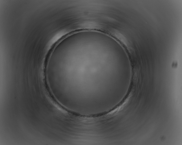 X0000096691071200802051340