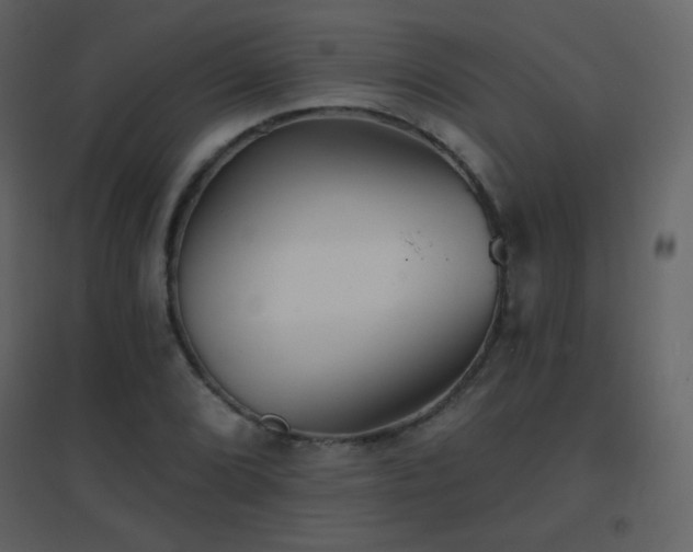 X0000096691072200802051340