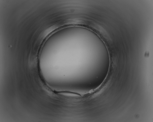 X0000096691073200802051340