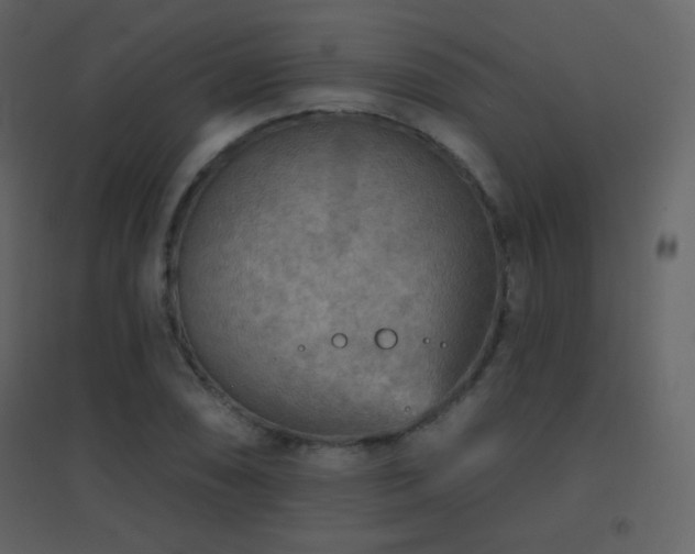 X0000096691074200802051340