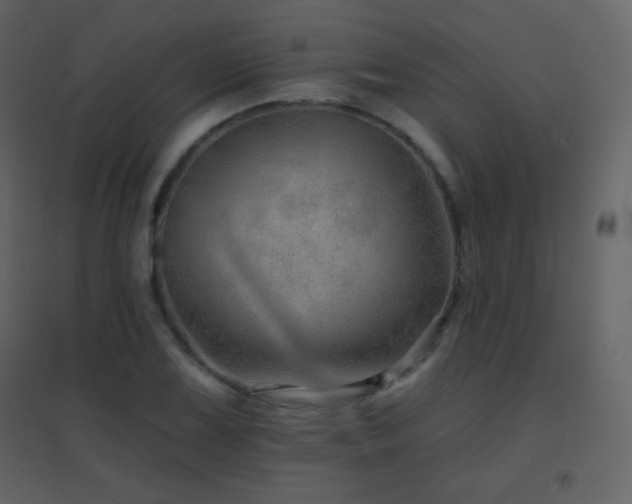 X0000096691075200802051340