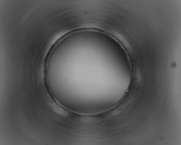 X0000096691076200802051340