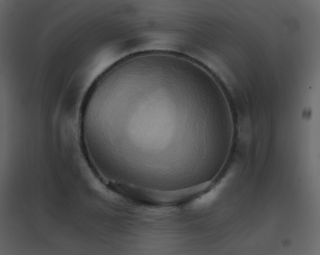 X0000096691077200802051340