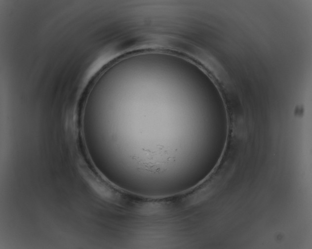 X0000096691078200802051340