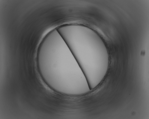 X0000096691079200802051340