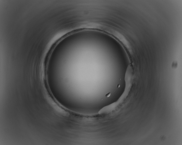 X0000096691080200802051340